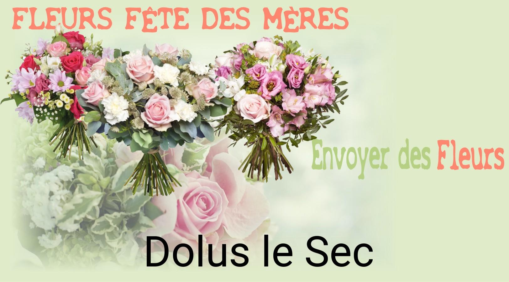Bouquet de Fête des Mères livré à Dolus-le-Sec